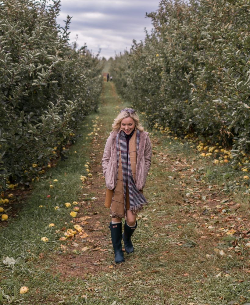 apple picking in fall connecticut